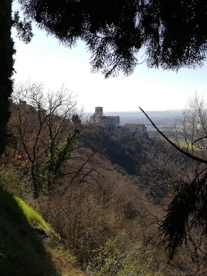 Hotel Villa Elda أسيسي المظهر الخارجي الصورة